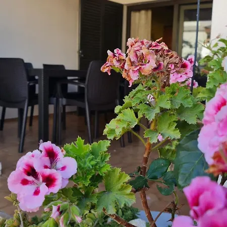 A Casa E A Da Ana